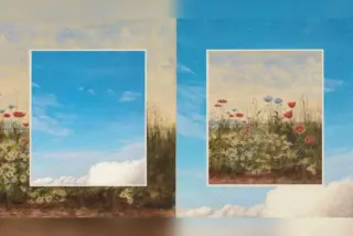 אילוסטרציה ציורית של חלון עם שמיים כחולים, פרחי פרגים ומרגנליות, מתוך הדף הרשמי של Anthropic על הקרן