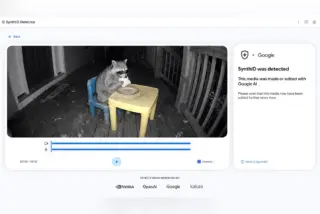 צילום מסך של SynthID Detector של גוגל: הכלי מציג על סרטון של דביבון שזוהה כמי שנוצר או נערך ב-AI באמצעות Google AI