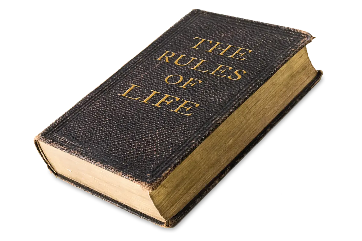 ספר עם כריכה כהה וכותרת "The Rules of Life" על רקע שחור