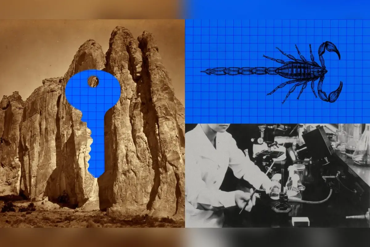איור של Anthropic: מפתח כחול על רקע של סלעים, לצד שרטוט של עקרב ותמונה שחור-לבן של מעבדה