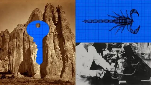 איור של Anthropic: מפתח כחול על רקע של סלעים, לצד שרטוט של עקרב ותמונה שחור-לבן של מעבדה